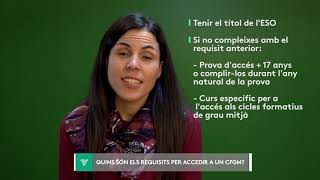 FAQ 9  Quins són els requisits per accedir a un cicle formatiu de grau mitjà [upl. by Haakon748]