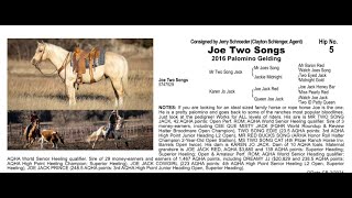 Pitzer Ranch Spring Sale 2024 Lot 5 JOE TWO SONGS [upl. by Youngman]