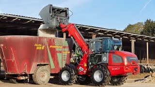 Weidemann – Teleskopradlader 3080T Einsatz in der Landwirtschaft [upl. by Swetiana]