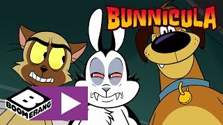 Bunnicula  Lucky Shot  Boomerang UK 🇬🇧 [upl. by Eneleahcim]