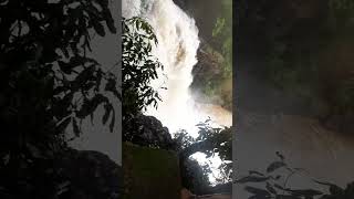 Harvalem waterfalls hidden gem of north goa [upl. by Meta]