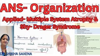 ANS Organization Multiple system atrophy amp Shy drager syndrome treatment [upl. by Lorenzana]