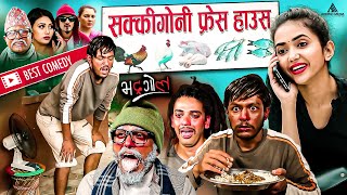 सक्किगोनी फ्रेस हाउस  Best Comedy  Nepali Comedy  Bhadragol  Pade Bale Kokroach Munni [upl. by Akirahs]