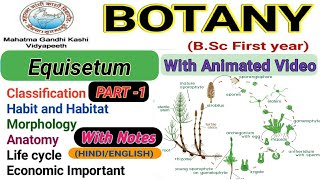 EquisetumMorphologyAnatomyReproductionlife cycle Part1 [upl. by Barbarese95]