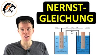 Die NernstGleichung  Chemie Tutorial [upl. by Melita500]