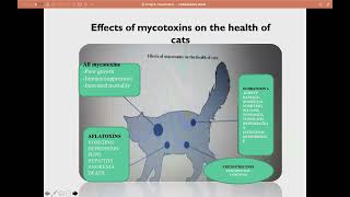 4 Mycotoxins and mycotoxicoses [upl. by Nirel]