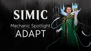 Simic Mechanic Spotlight Adapt [upl. by Valdemar]