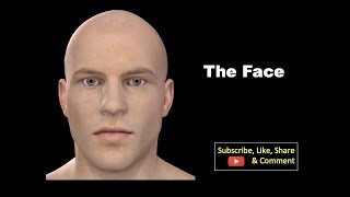 The Face Anatomy mbbs education bds headandneckanatomy face [upl. by Sorce]