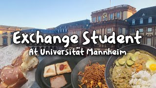 A Day in the Life of an Exchange Student at Mannheim University 🇩🇪 [upl. by Elga]