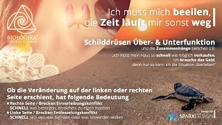 SchilddrüseÜberfunktion und –Unterfunktion Biologika Neue Medizin [upl. by Deidre43]