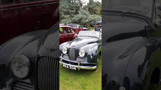 A 1952 JOWETT JUPITER EXHIBITED AT NEWBY HALL HISTORIC VEHICLE RALLY IN 2O24 [upl. by Wyck938]