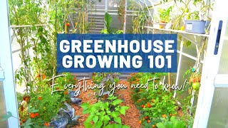 Greenhouse Growing Basics 101  For beginners and intermediate  Design Pros and cons Quirks Tips [upl. by Xonk]