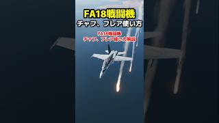 DCS FA18戦闘機 チャフ・フレア使い方解説 戦闘機 dcsworld フライトシミュレーター [upl. by Anaugal]