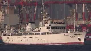 SHONAN MARU 湘南丸 Trainng ship 漁業実習船 神奈川県立海洋科学高等学校 東京港 2015JAN [upl. by Walls]