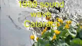 Rife Frequency  Cataract  Binaural Beats  1989 sound wave [upl. by Nikolai717]