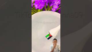 Menggambar bendera Palestina diatas air‼️ nailart nails naildesign nailtutorial art cover [upl. by Myer]