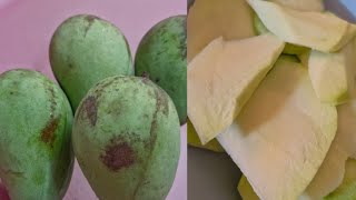 EP16 fruit  Green Mango fruit [upl. by Egidio]