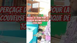 Perçage de trous pour la couveuse automatique 1056 œufs automobile [upl. by Ferrigno]