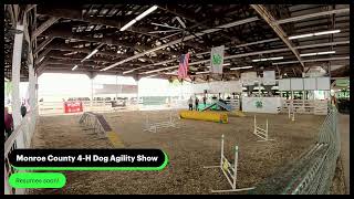 Monroe County 4H Dog Agility Show 2024 [upl. by Mccandless]