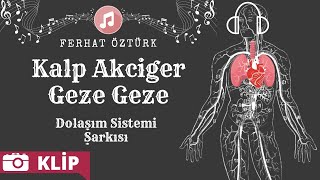 Dolaşım Sistemi Şarkısı  Kalp Akciğer Geze Geze [upl. by Laird]