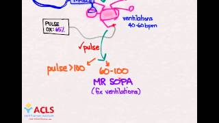 NRP Overview and Review by ACLS Certification Institute [upl. by Annemarie615]