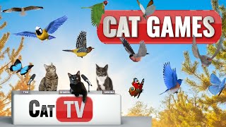 Cat TV  3D Birds and Butterflies in Serene Nature Scenes 🌿🦋  Calming Sounds and Music for Cats [upl. by Dygall134]