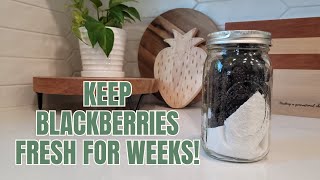 How to Wash Blackberries  How to Keep Fruit Fresh Longer [upl. by Cates]