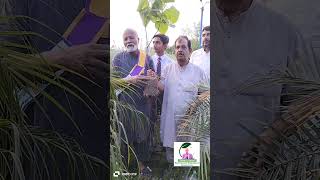 Fig plantation drive for PAF at Chichawatni Park and motivation for plantation how to plant a fig [upl. by Annaujat]