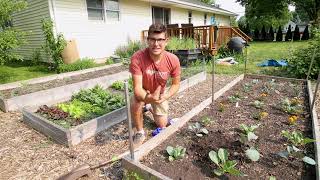 The Incredible Benefits of Adding Composting Worms to Your Garden [upl. by Remas]