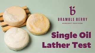 Single Oil Lather Test  Find Your Perfect Soap Recipe  BrambleBerrycom [upl. by Grobe]