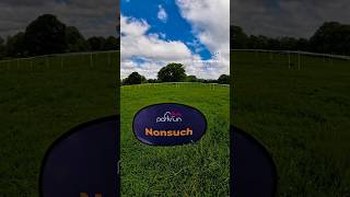 60 Seconds of Nonsuch Park Parkrun [upl. by Llemor980]