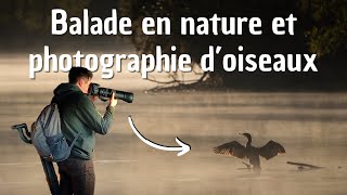 SORTIE DÉTENTE EN NATURE  photographie doiseaux dans une réserve [upl. by Kenaz]