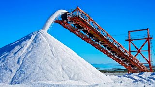 How Salt Is Made From Seawater  Largest Salt Production Factory In the World [upl. by Onavlis]