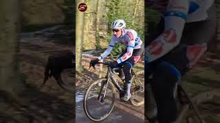 Michael Vanthourenhout Exact Cross Zonnebeke 2024 cyclocross [upl. by Ketty]