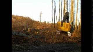 Tigercat 822 Feller Buncher [upl. by Irrahs264]