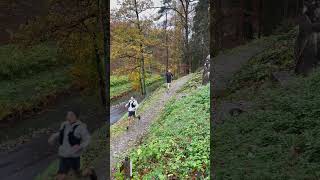 2023 Trail du Beaujolais Nouveau Haversin Chevetogne trailrunning [upl. by Isdnyl]