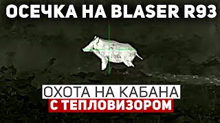 Осечка на Blaser R93 ⚙️  Неприятный «сюрприз» чуть не сорвал охоту 😬 [upl. by Munford831]