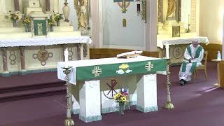 Mass 20th Sunday of Ordinary Time by Fr Henry Smolenaars [upl. by Daub815]