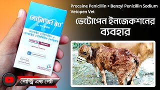 গরুর যেকোনো ঘা দ্রুত শুকাতে ব্যবহার করুন ভেটোপেন ভেট ইনজেকশন  Vetopen Vet Injection [upl. by Leon]