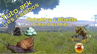 TUTOARK Achatina et Abeille Ciment et Miel à volonté PS4PCONE FR [upl. by Baily179]