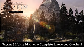 I Modernized Skyrims Combat With Only 10 Mods  Modded Combat Synergy 2023 [upl. by Nevur]