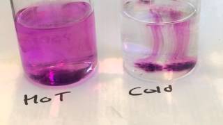 Diffusion of Potassium Permanganate in Hot and Cold Water [upl. by Klemperer]