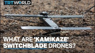 RussiaUkraine conflict A look at Switchblade kamikaze drones [upl. by Ataymik231]