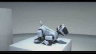 AIBO COMMERCIAL [upl. by Giorgia812]