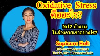 Oxidative stress คืออะไร ทำไมจึงเป็นเหตุของการเกิดโรคกว่า 200 โรค ทำไม ProtandimNrf2 ลดต้นเหตุได้ [upl. by Saenihp]