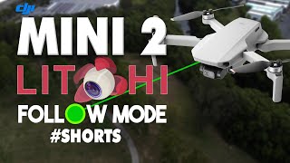 Testing DJI Mini 2 Follow Me Mode  Litchi Review [upl. by Moffit]