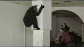 Ninja Kittens Extended version [upl. by Ylrebnik141]