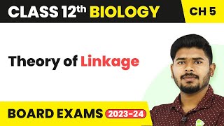 Class 12 Biology Chapter 5  Theory of Linkage  Principles of Inheritance and Variation 202223 [upl. by Sawyor]