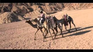 Mike Batt  Caravans on the move Beautiful Planet Earth Egypt [upl. by Ahtenek271]