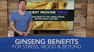 Ginseng Benefits for Lower Stress Better Mood and Beyond [upl. by Ammej]